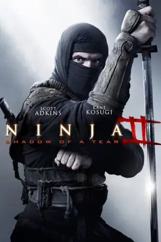 Ninja: Shadow of a Tear (2013) poster