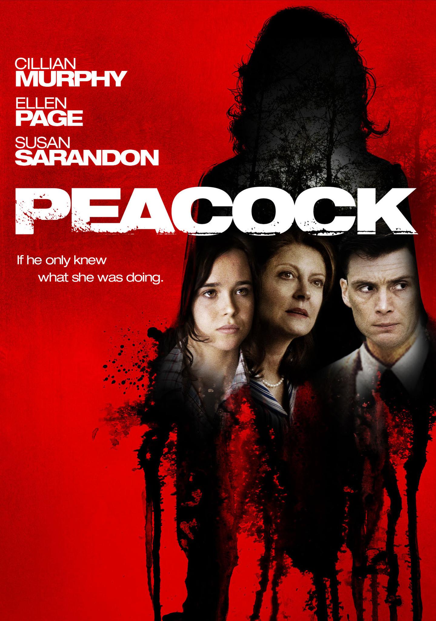 Poster Peacock