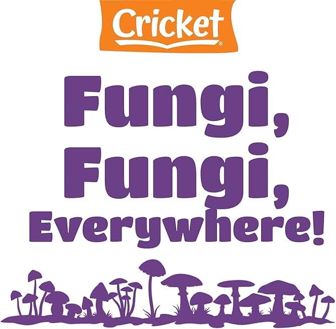 Fungi, Fungi, Everywhere!