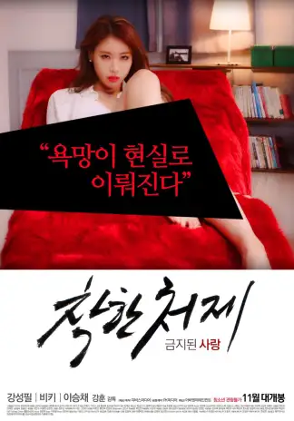 Nice Sister-In-Law (2015) poster