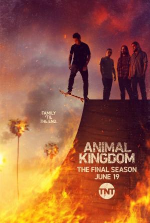 Animal Kingdom - 123Movies