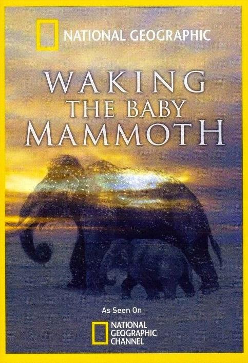 Poster Waking the Baby Mammoth