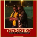 Owonikoko