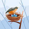 author avatar