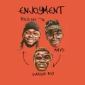 ENJOYMENT