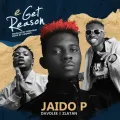 E Get Reason