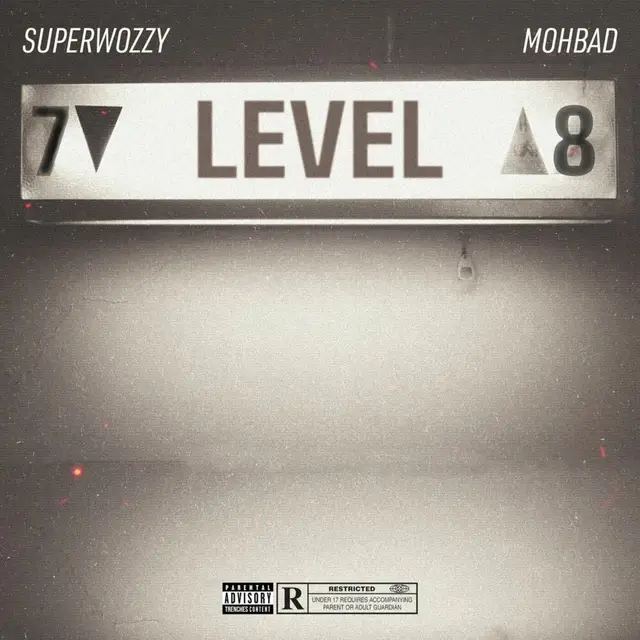 Level cover art