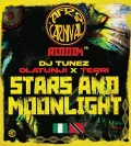 Stars & Moonlight