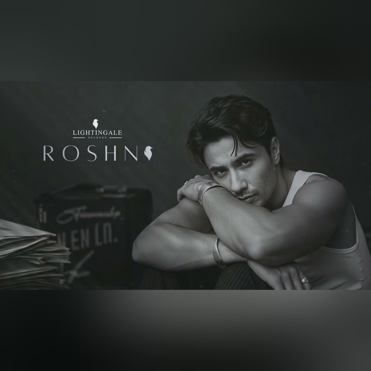 Zalim Nazron Se - Ali Zafar x Ali Haider | Official Audio | Roshni