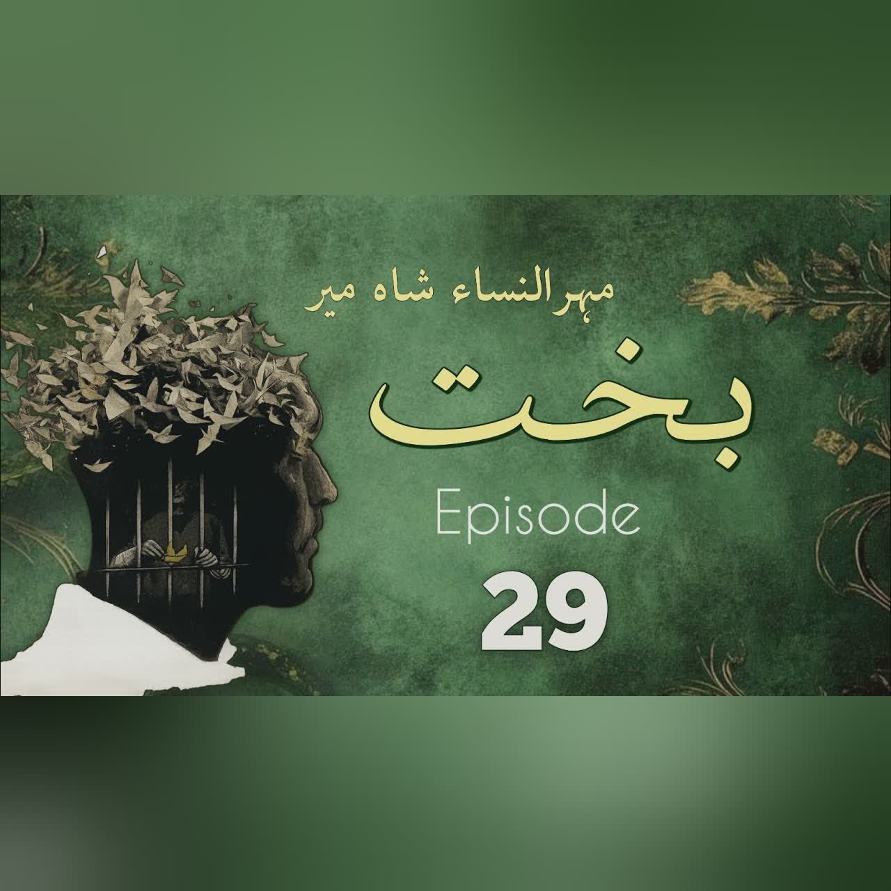 Bakht | Episode 29 | by Mehrulnisa Shahmeer | Urdu Novel | Urdu AudioBooks