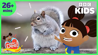 Cute Animals 🐱🐶 | Let's Learn with Yakka Dee| BBC Kids