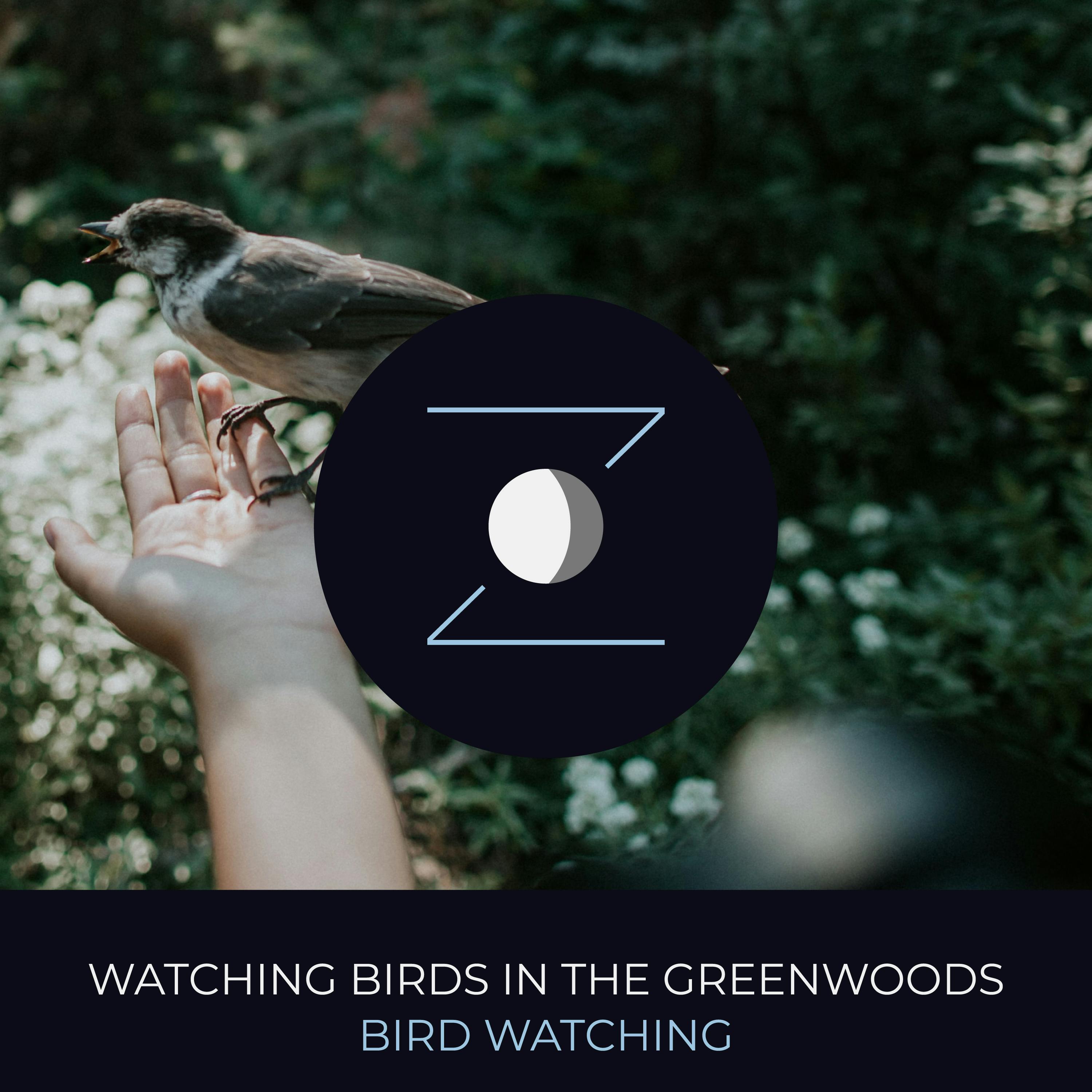 Watching Birds in the Greenwoods | Birdwatching