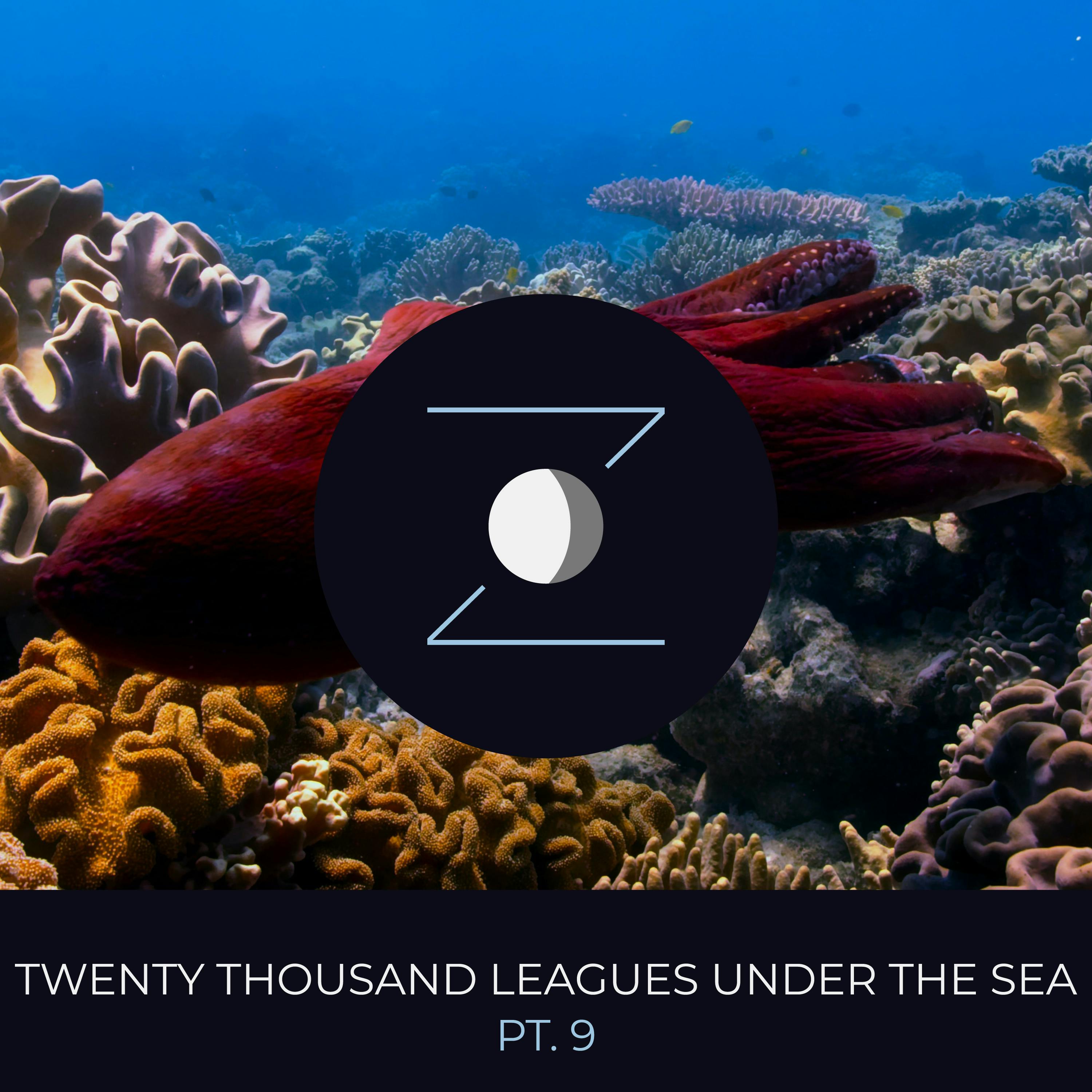 Twenty Thousand Leagues Under the Sea pt. 9