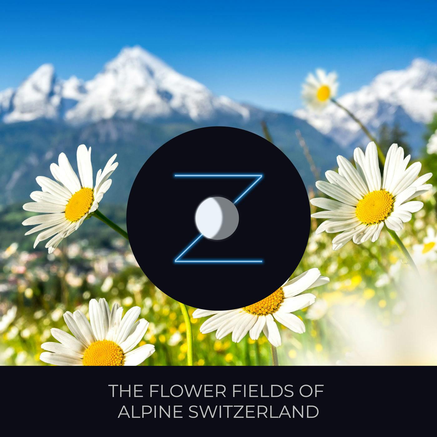 The Flower Fields of Alpine Switzerland