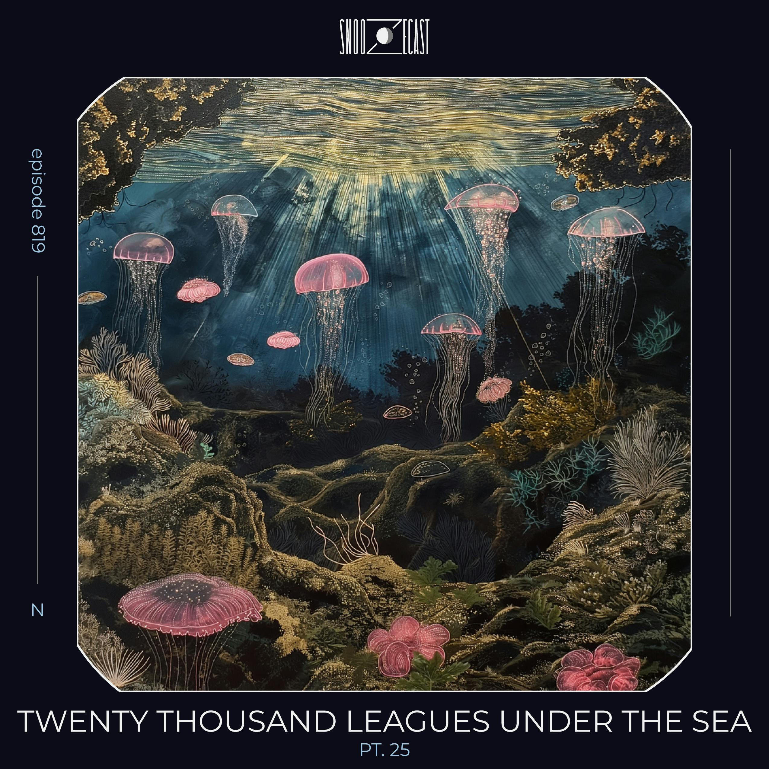 Twenty Thousand Leagues Under the Sea pt. 25