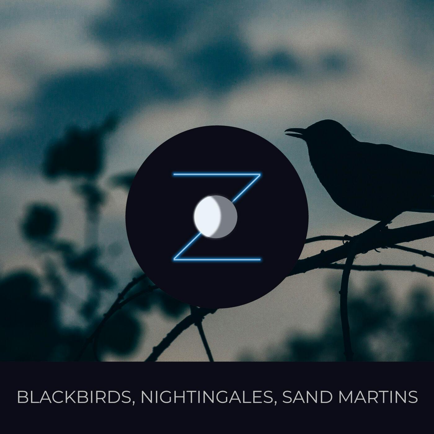 Blackbirds and Nightingales | Birdwatching
