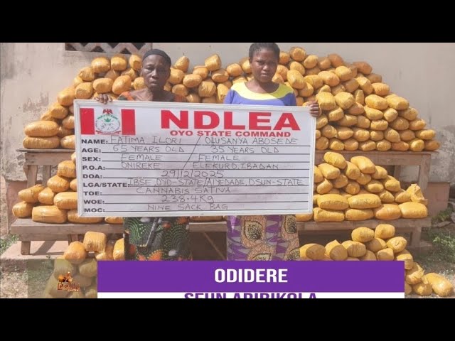 The Story of Old Kerosene seller Grandma selling over 38KG weed for boys in Ibadan (True Life Story)
