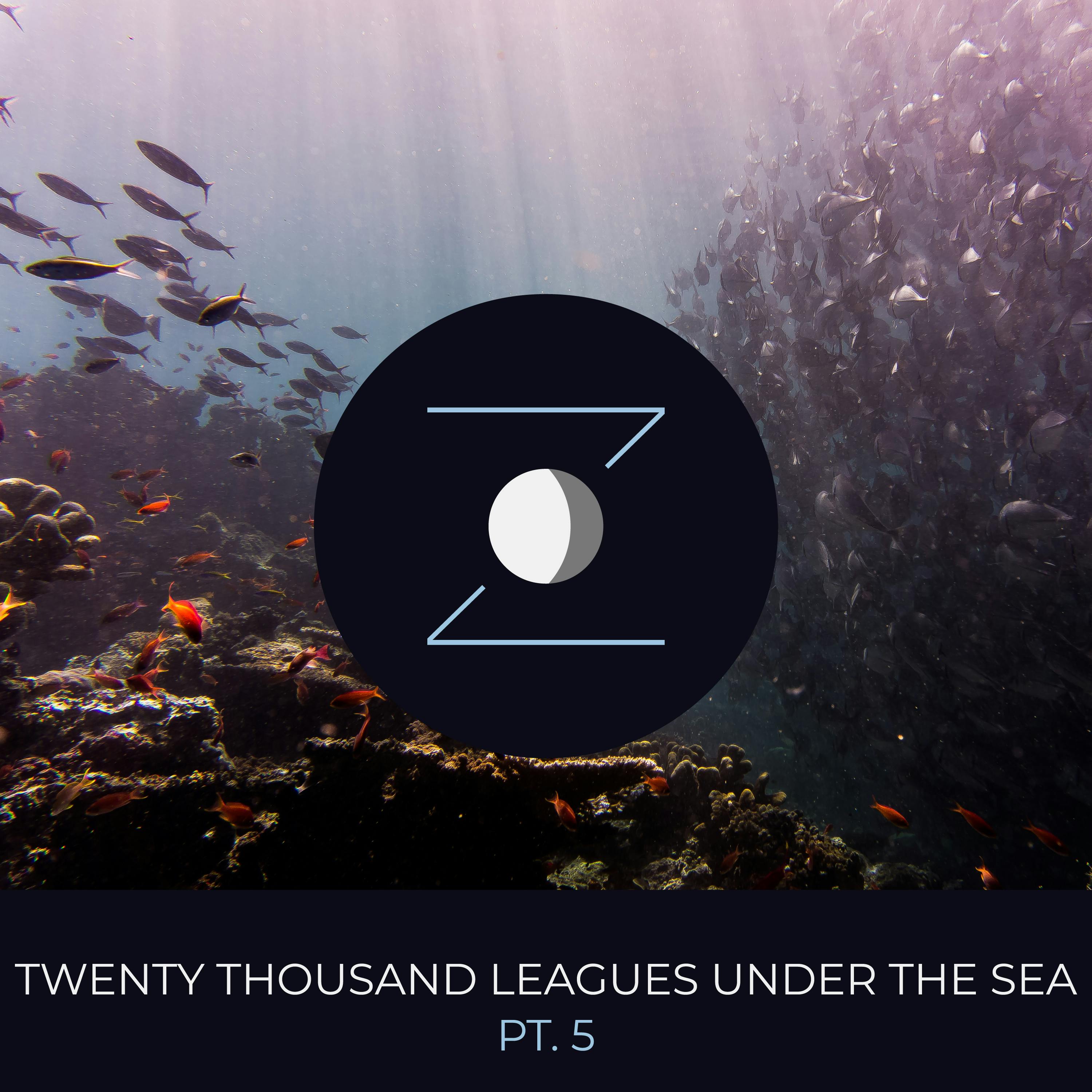 Twenty Thousand Leagues Under the Sea pt. 5