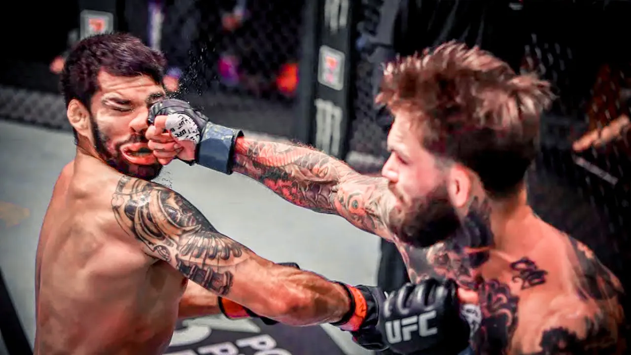 BEST UFC KNOCKOUTS OF 2022