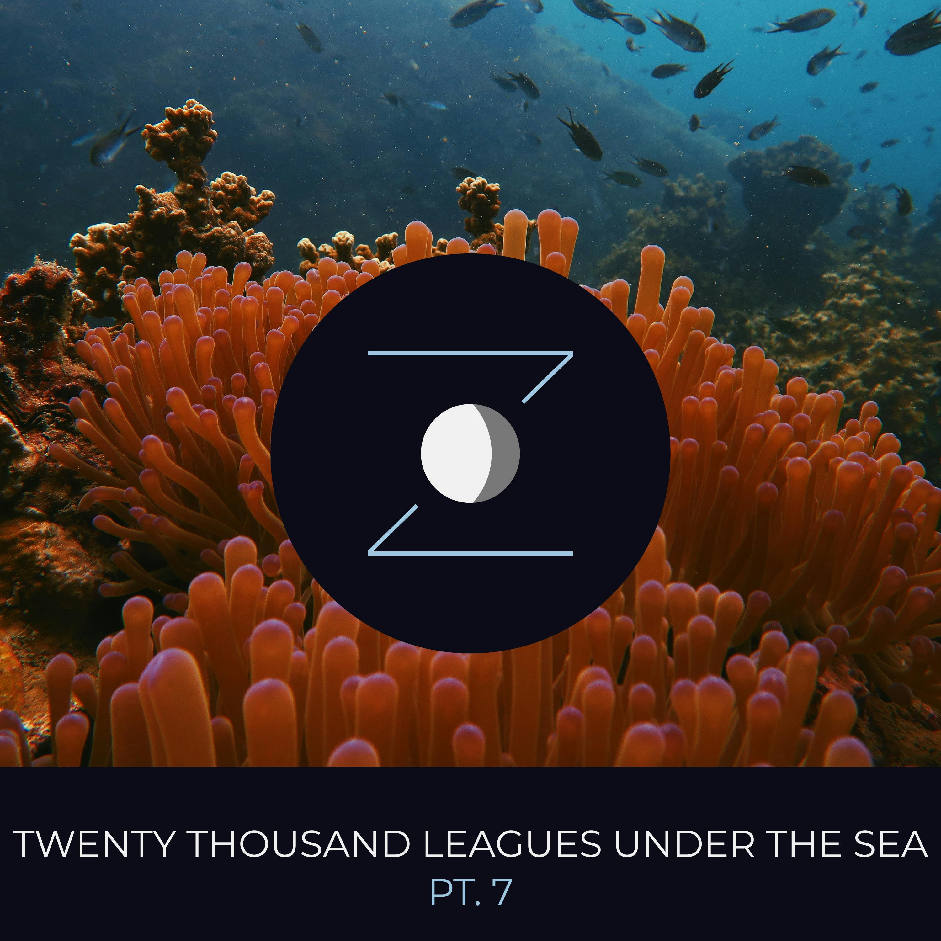 Twenty Thousand Leagues Under the Sea pt. 7