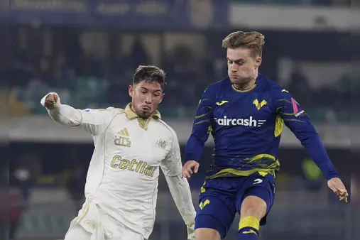 Hellas Verona VS Pisa Highlight