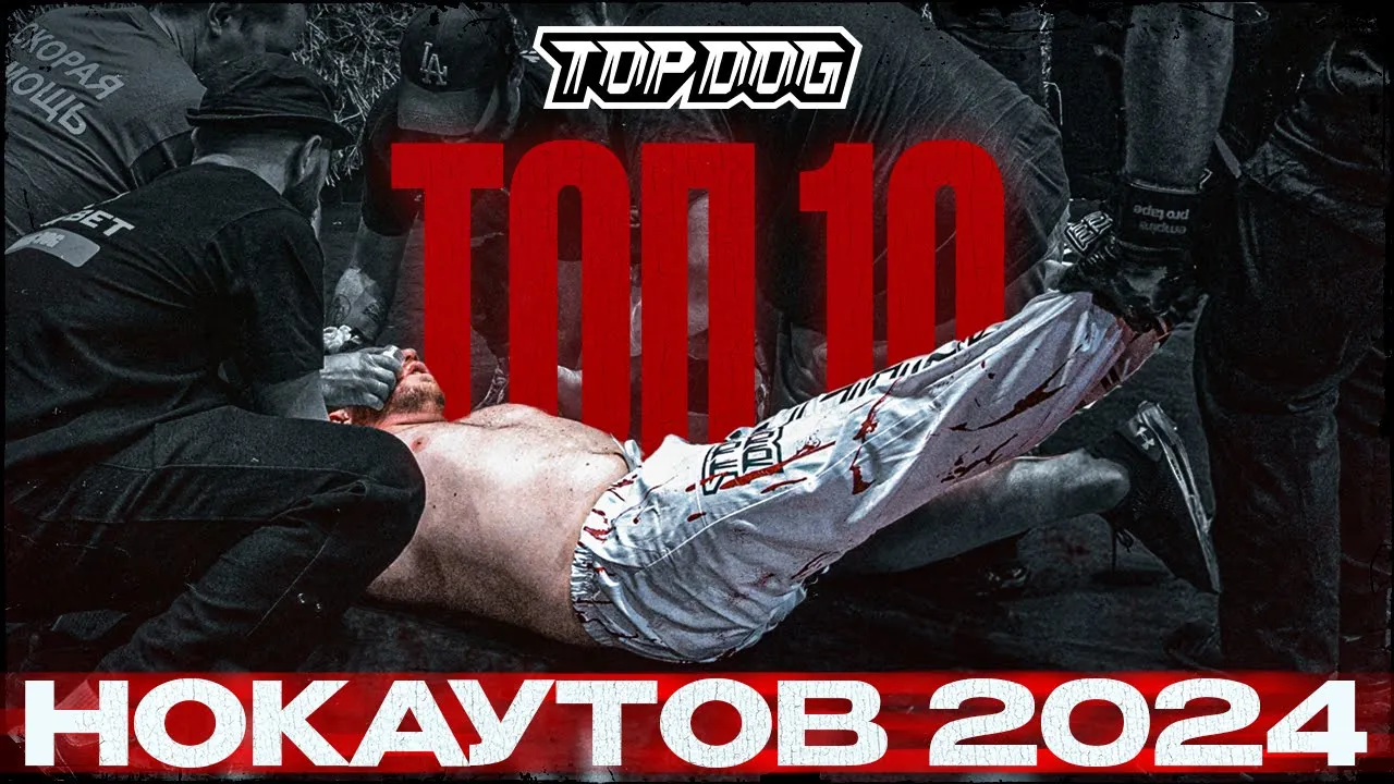ТОП 10 НОКАУТОВ В TOP DOG | 2024