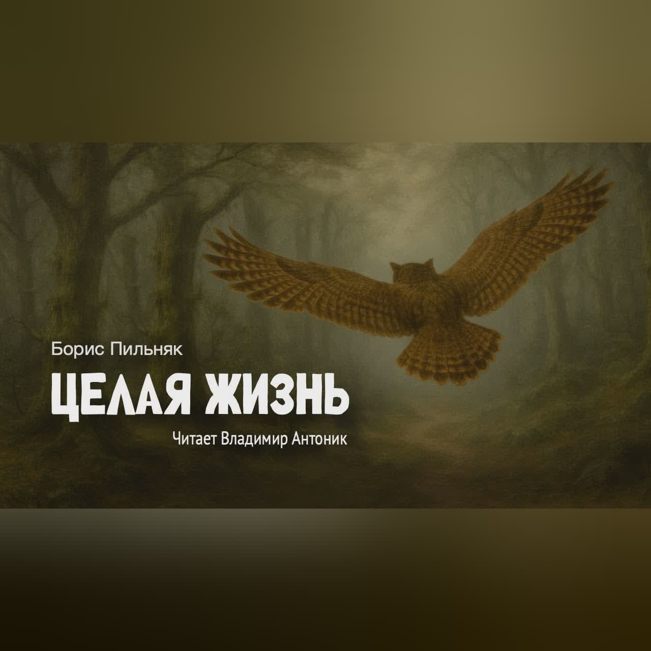«Целая жизнь». Борис Пильняк. Аудиокнига Читает Владимир Антоник