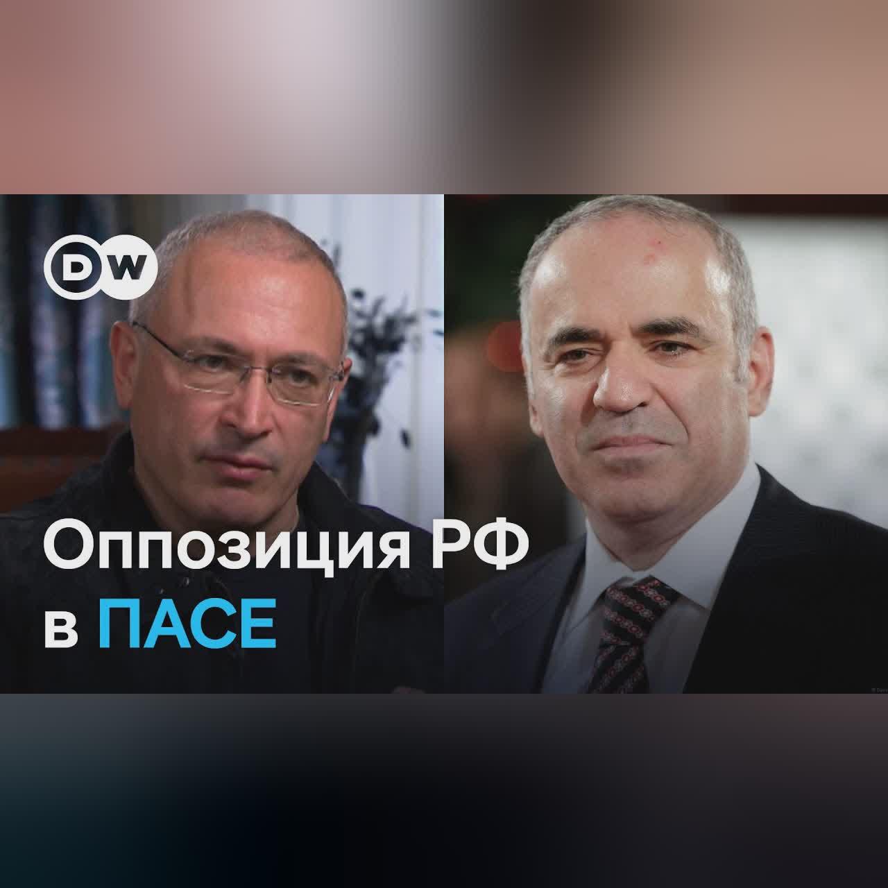 Участники платформы российских демократических сил при ПАСЕ собрались на первое заседание