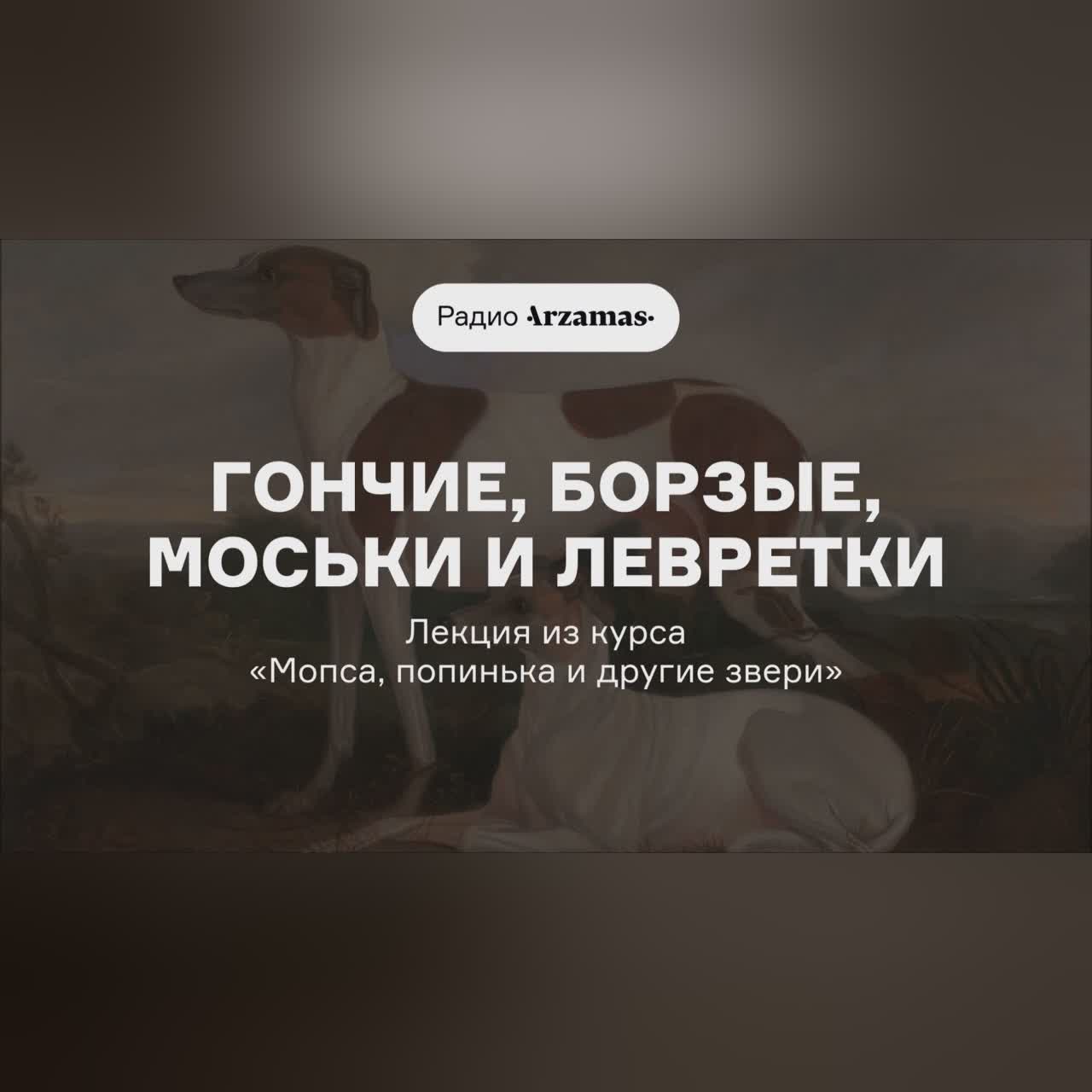 Гончие, борзые, моськи и левретки | Лекция из курса «Мопса, попинька и другие звери»