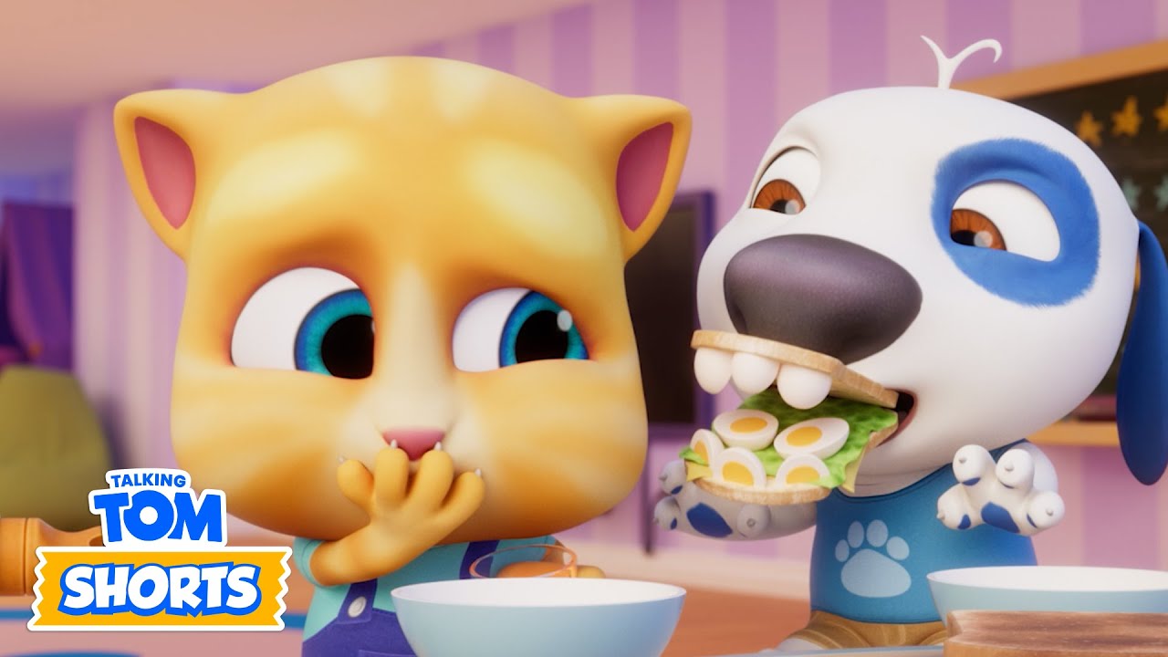 Lost in the Woods?! 🪵 Talking Tom Shorts | LIVE Cartoons for Kids