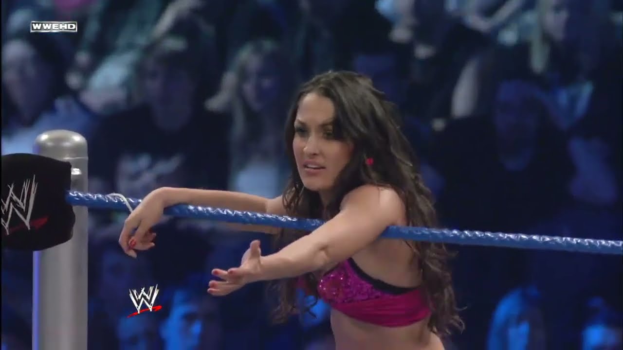SmackDown: 11/21/2008 Brie & Nikkie Bella vs Natalya & Victoria 