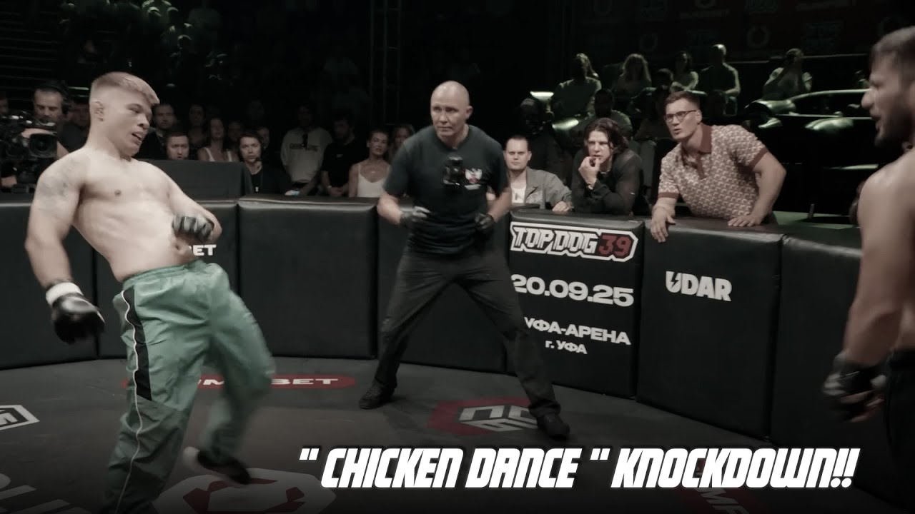 The MOST BRUTAL KO's and Fights TOP DOG Prospect 28!! (HIGHLIGHTS)