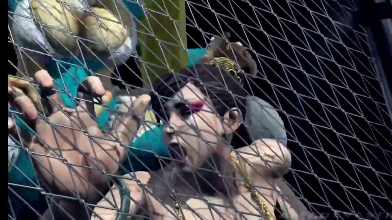 street fight Chun-Li vs. R.Mika