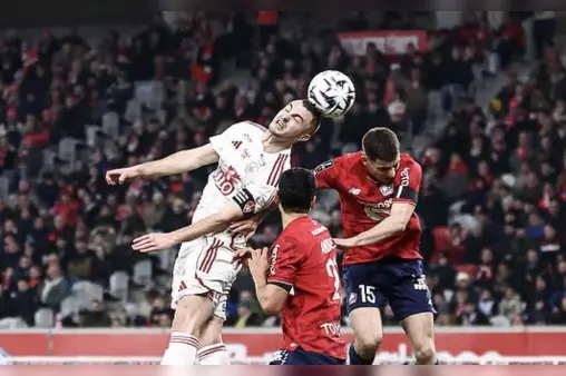 Lille VS Brest Highlight