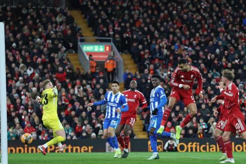 Liverpool VS Brighton & Hove Albion Highlight