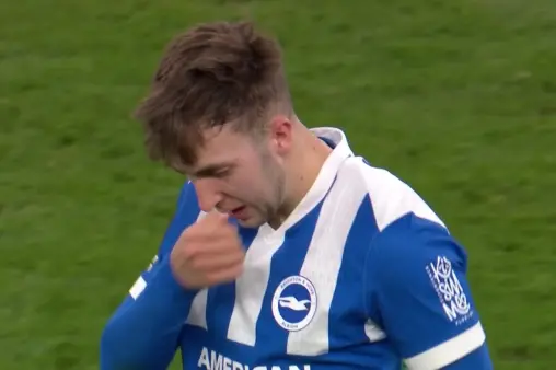 Liverpool VS Brighton & Hove Albion Highlight