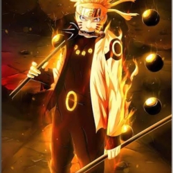 author avatar