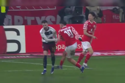 Mainz VS Hamburg Highlight