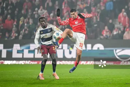 Mainz VS Hamburg Highlight