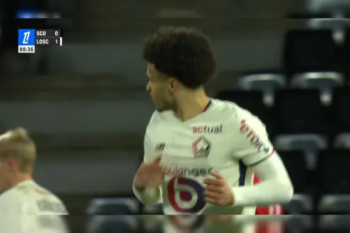 Angers VS Lille Highlight