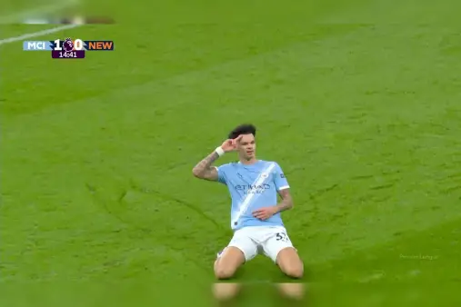 Manchester City VS Newcastle United Highlight