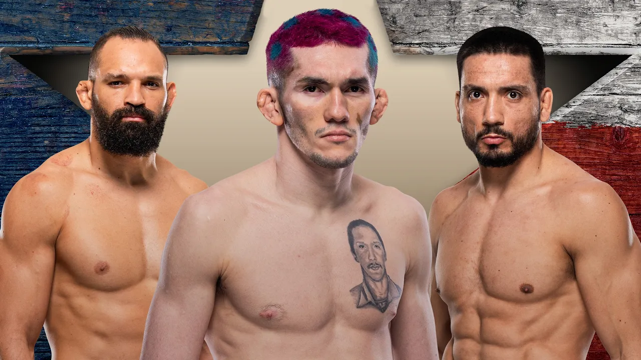 Os melhores NOCAUTES E FINALIZAÇÕES dos atletas brasileiros do UFC Houston