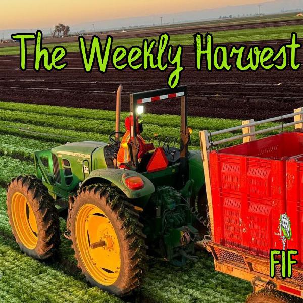 W16 FIF/The Weekly Harvest: Ethylene Silent But Deadly