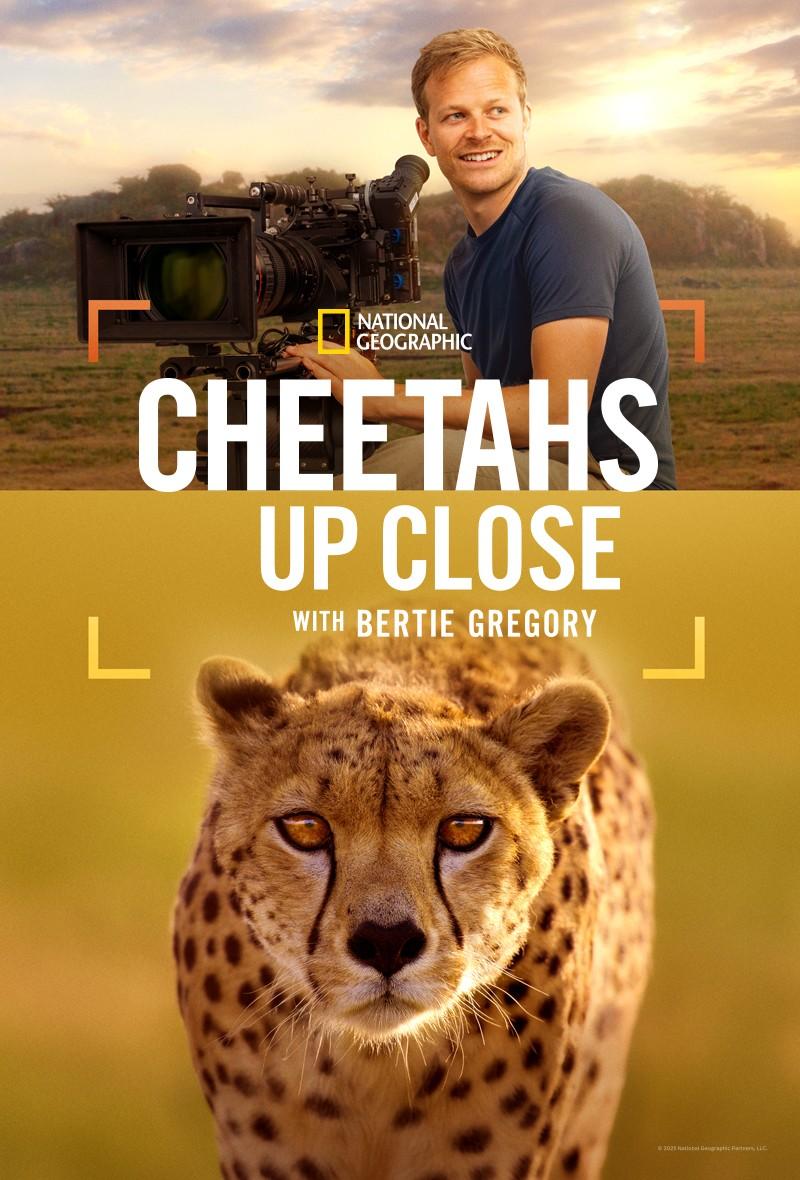 Cheetahs Up Close with Bertie Gregory