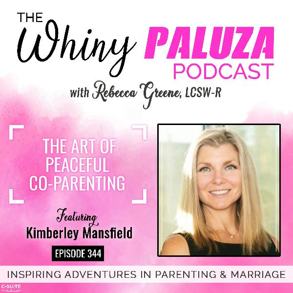 Episode 344: The Art of Peaceful Co-parenting