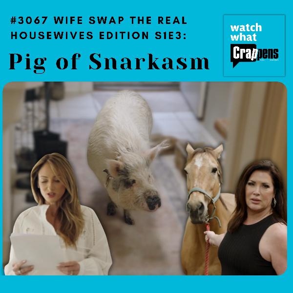 #3067 Wife Swap The Real Housewives Edition S1E3: Pig of Snarkasm