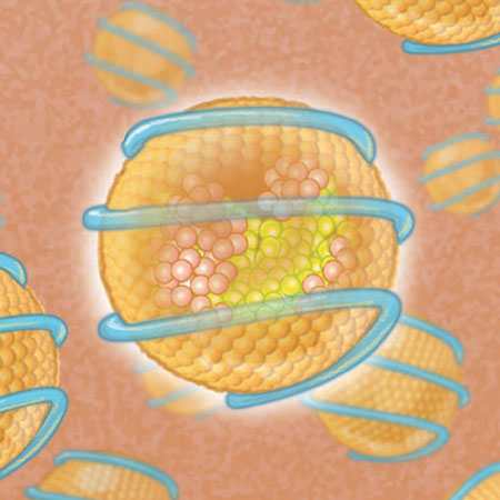 Novel Lipid-Lowering Therapies to Reduce Cardiovascular Risk