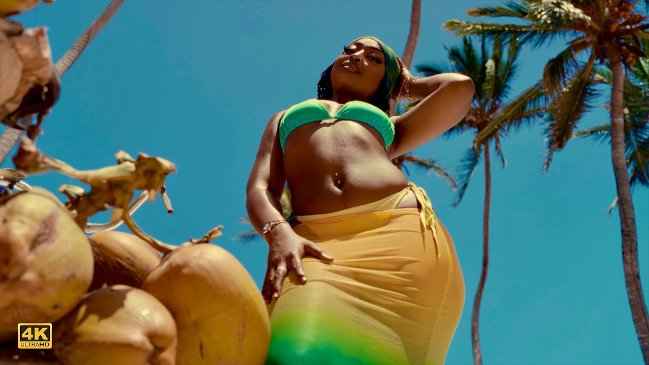 Nameless feat Marioo - Nasinzia II (Clip Officiel)