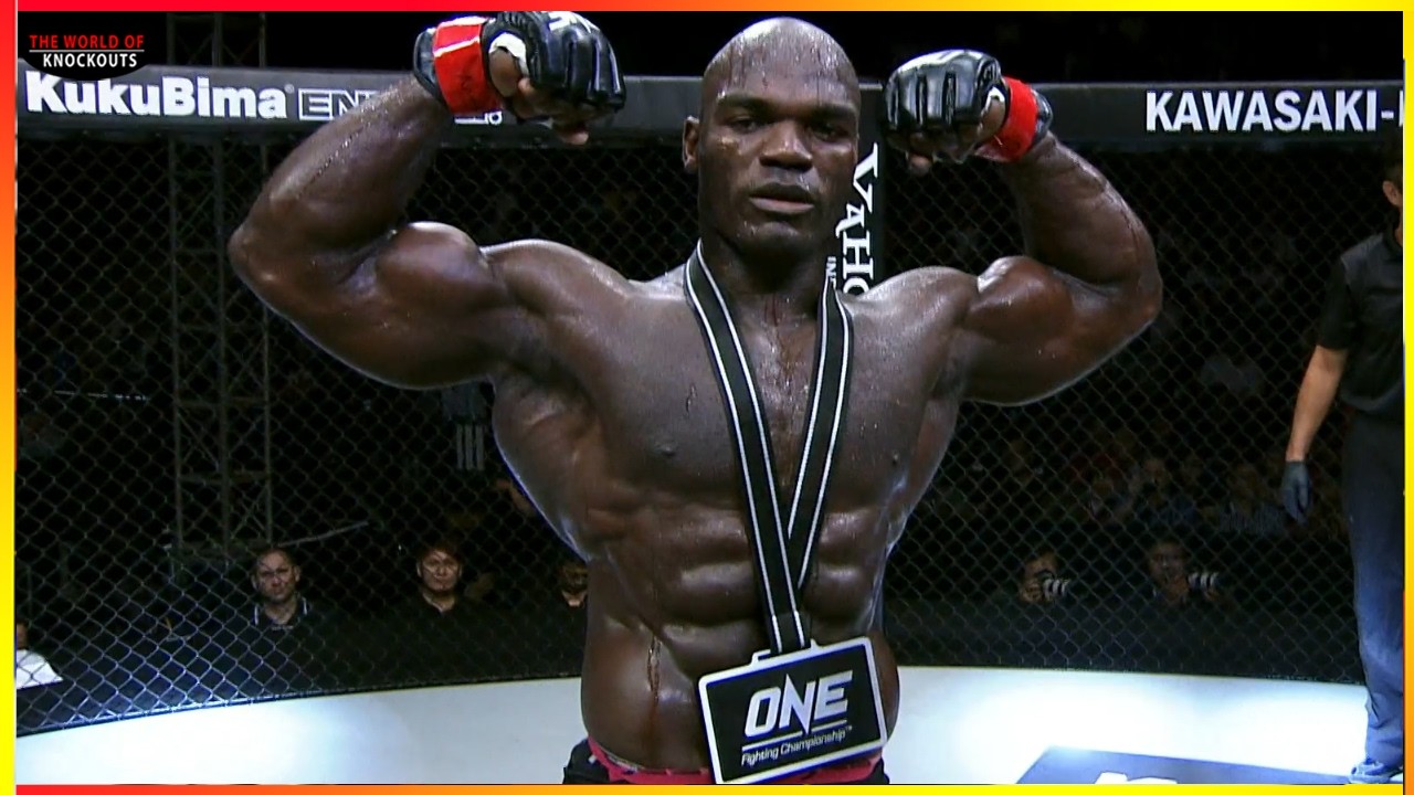 Alain Ngalani vs Mahmoud Hassan | MMA Knockout Highlights