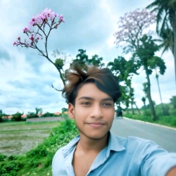 author avatar